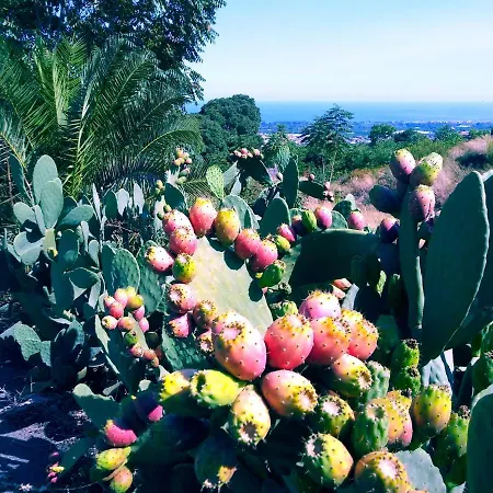 Ferienhaus Casa Paradisotaorminaetna Piedimonte Etneo
